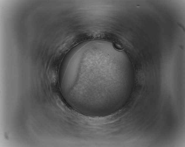 X0000103410039200809191556