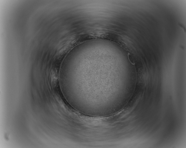 X0000103410040200809191556