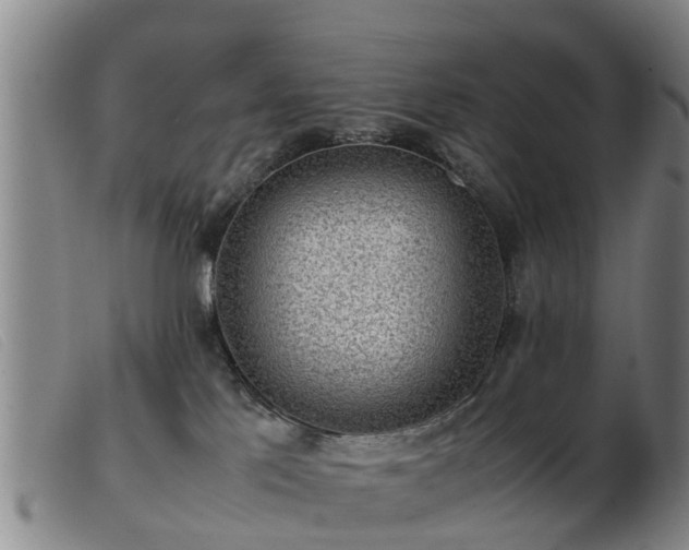 X0000103410041200809191556