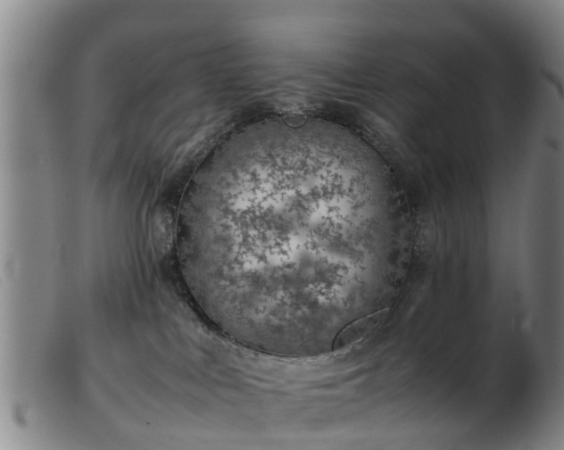 X0000103410043200809191555