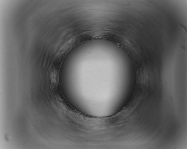 X0000103410044200809191555