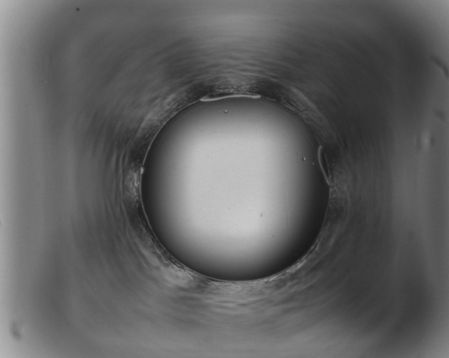 X0000103410045200809191555