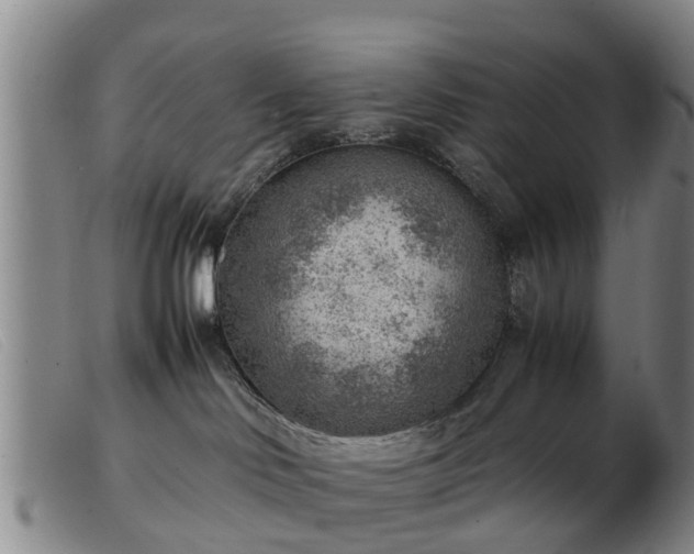 X0000103410046200809191555