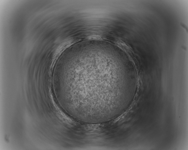 X0000103410049200809191555