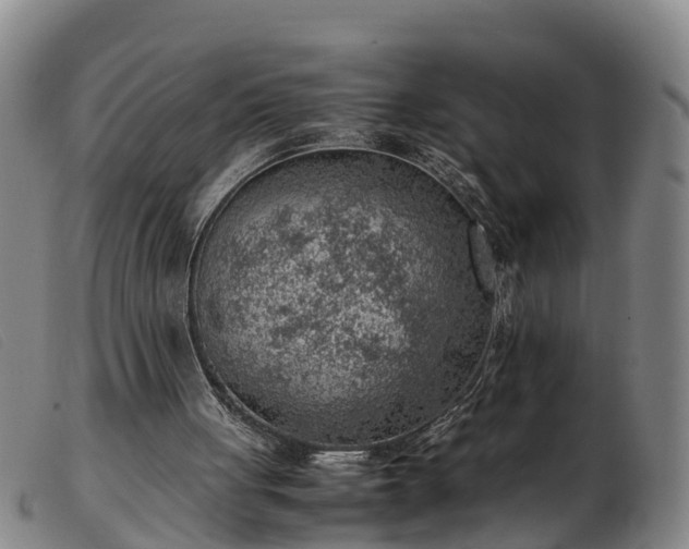 X0000103410051200809191555