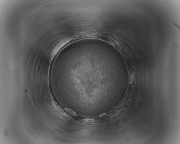 X0000103410052200809191555