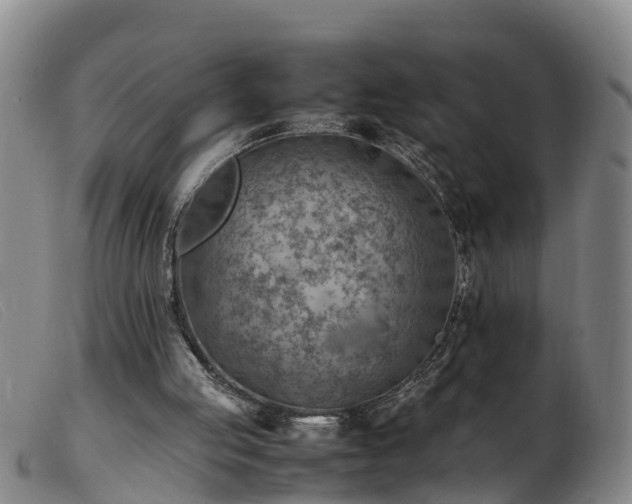 X0000103410053200809191555