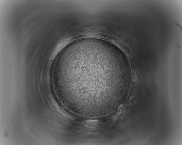 X0000103410055200809191555