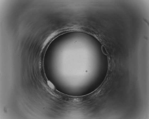 X0000103410056200809191555