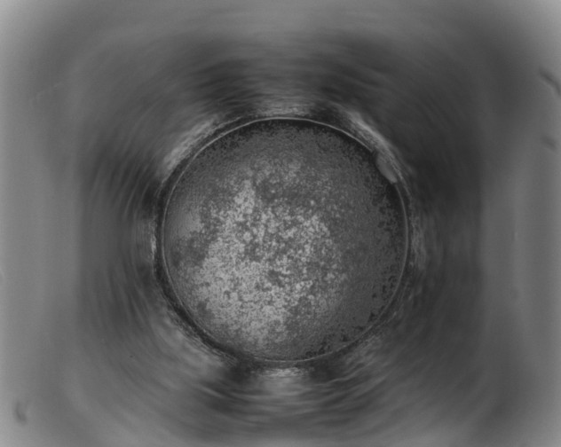 X0000103410059200809191555