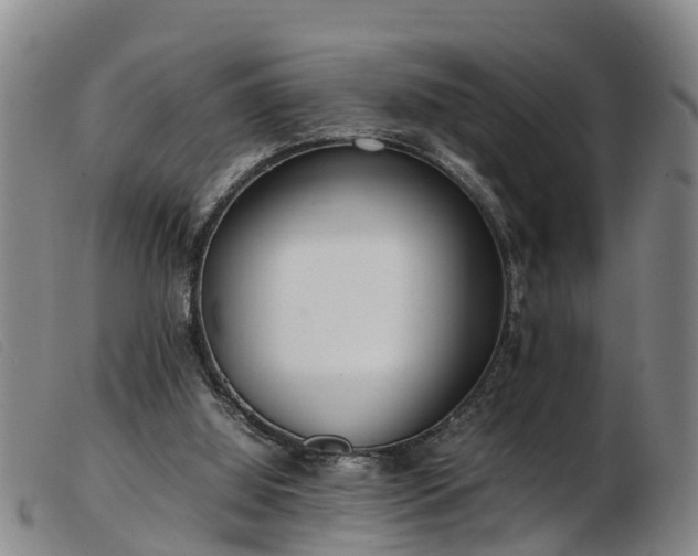 X0000103410060200809191555