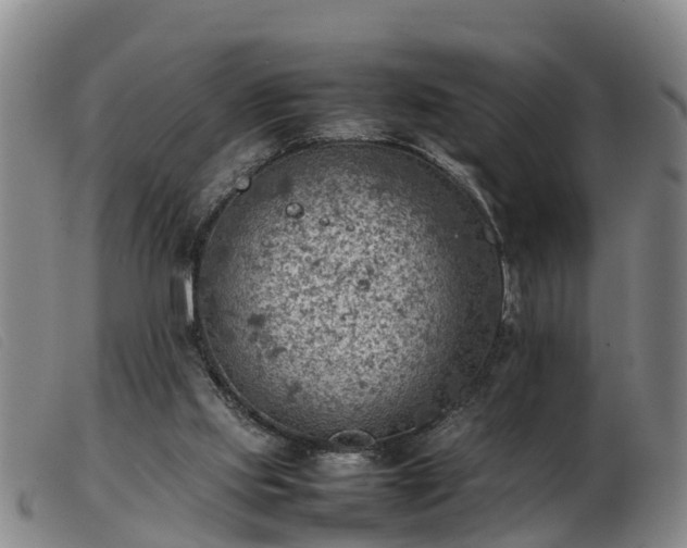 X0000103410061200809191555