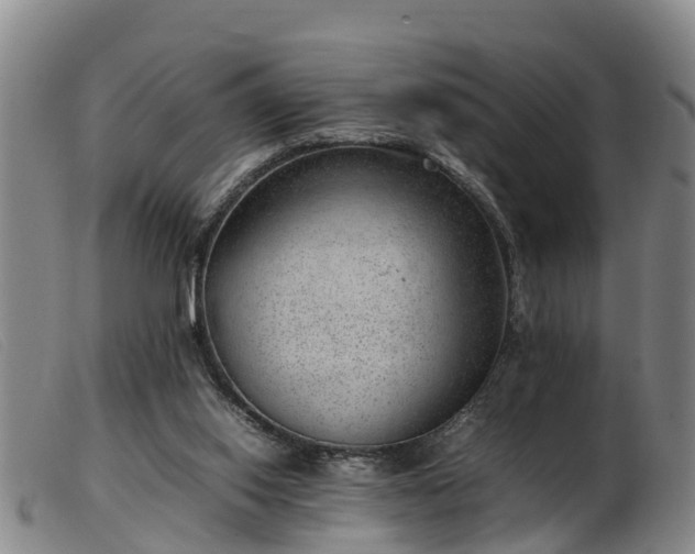 X0000103410062200809191555