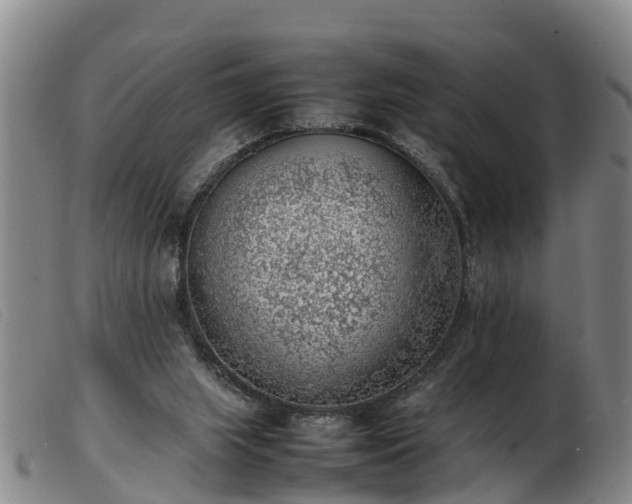 X0000103410063200809191555