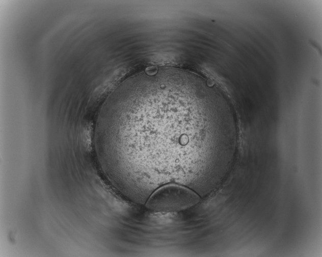 X0000103410065200809191555