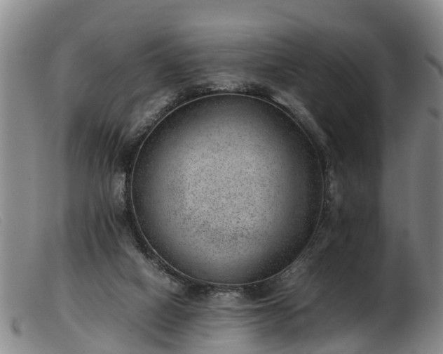 X0000103410066200809191555