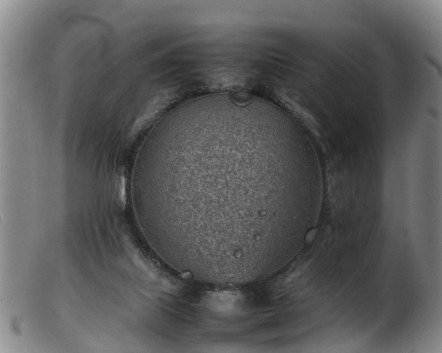 X0000103410067200809191555