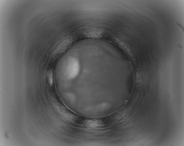 X0000103410069200809191555