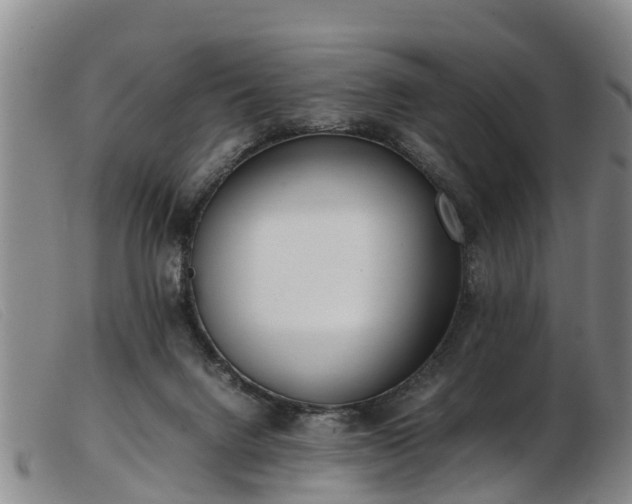 X0000103410072200809191555