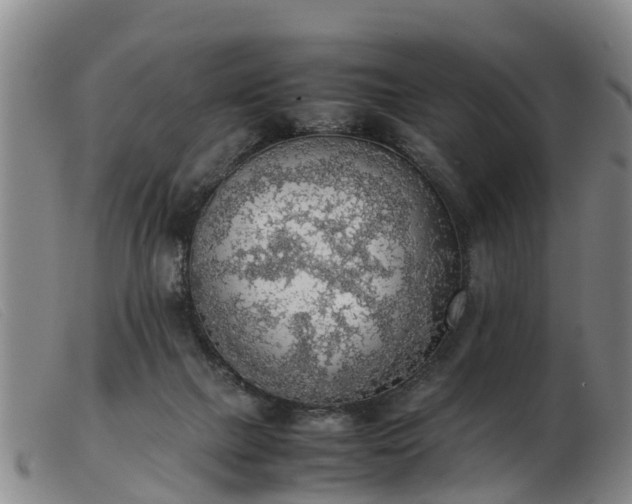 X0000103410073200809191555