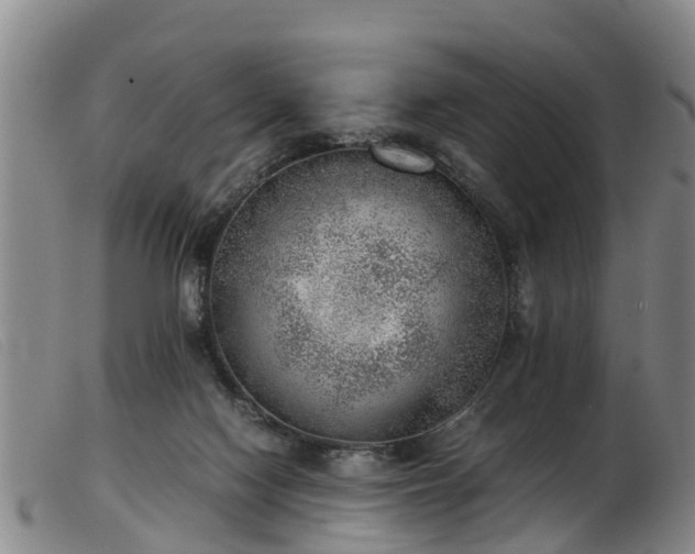 X0000103410074200809191555