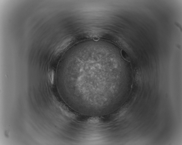 X0000103410076200809191555