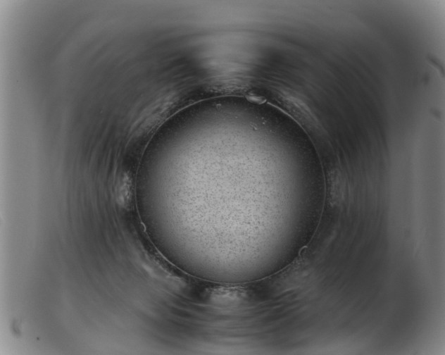 X0000103410077200809191555