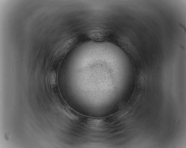 X0000103410081200809191555