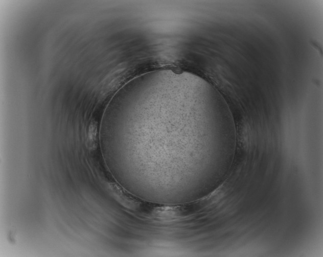 X0000103410082200809191555