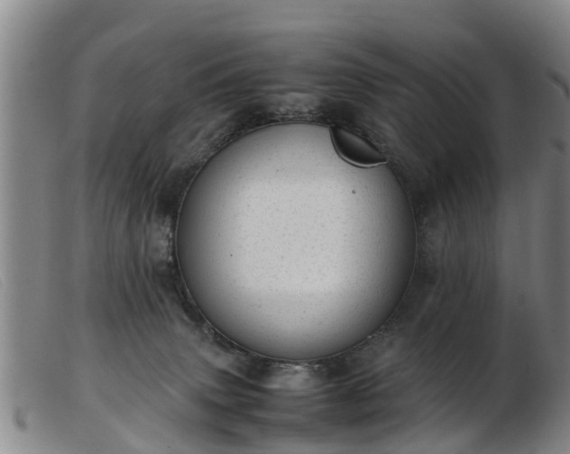 X0000103410083200809191555