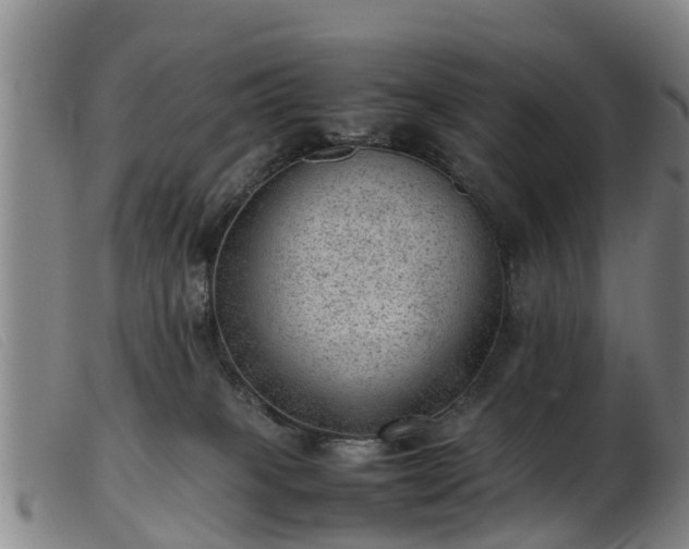 X0000103410085200809191555