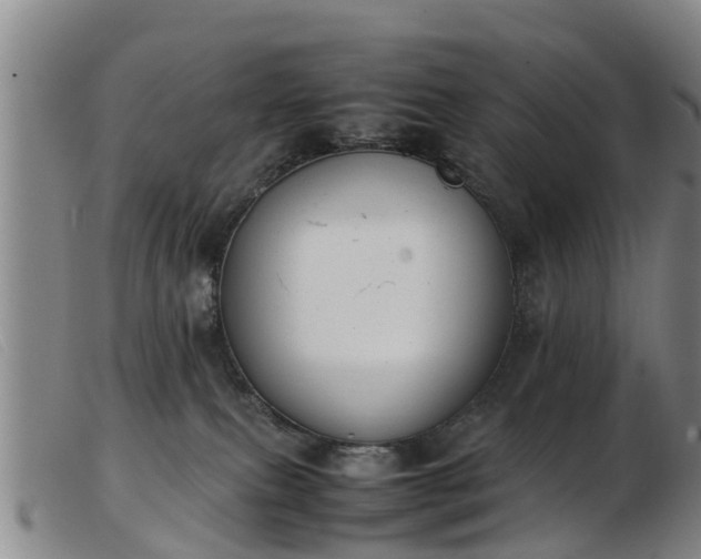 X0000103410087200809191555