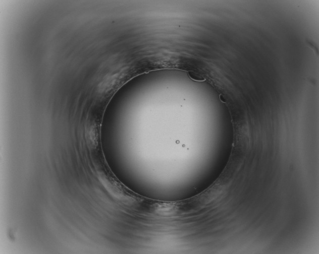 X0000103410088200809191555