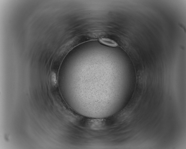 X0000103410089200809191555