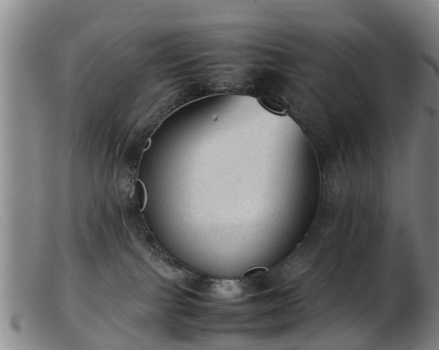 X0000103410091200809191555