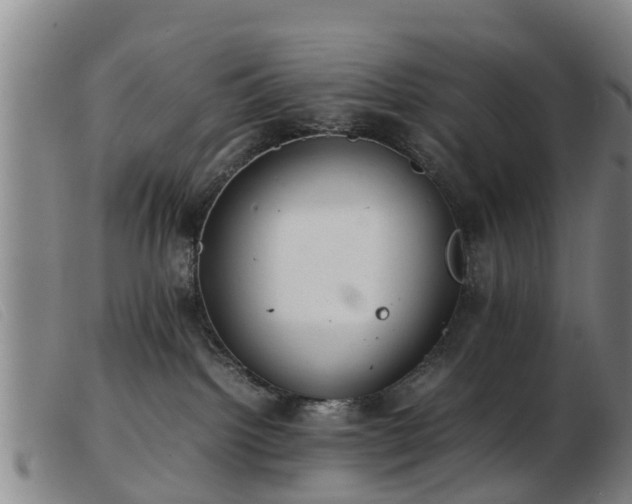 X0000103410092200809191555