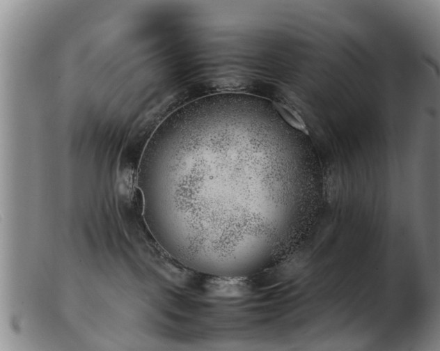 X0000103410093200809191555