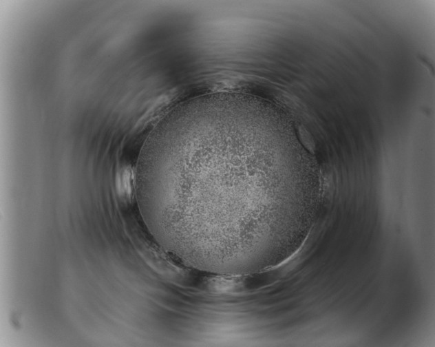 X0000103410094200809191555