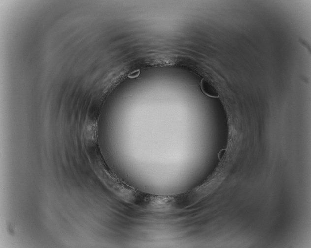 X0000103410096200809191555