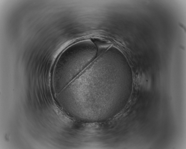 X0000103410100200809191555