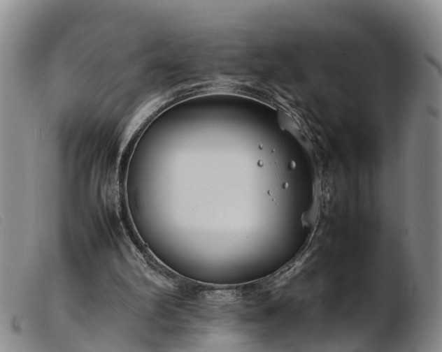 X0000103410102200809191554