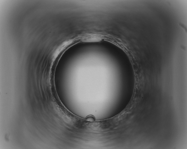 X0000103410104200809191554