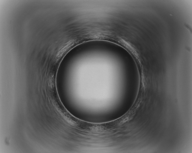 X0000103410105200809191554