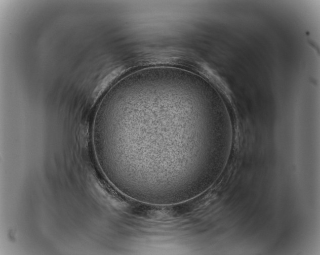 X0000103410107200809191554