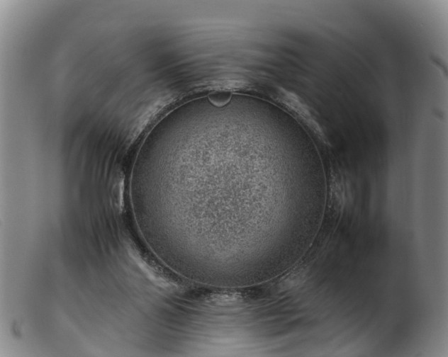 X0000103410110200809191554