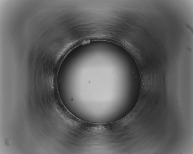 X0000103410112200809191554