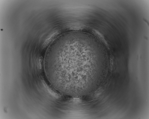 X0000103410114200809191554