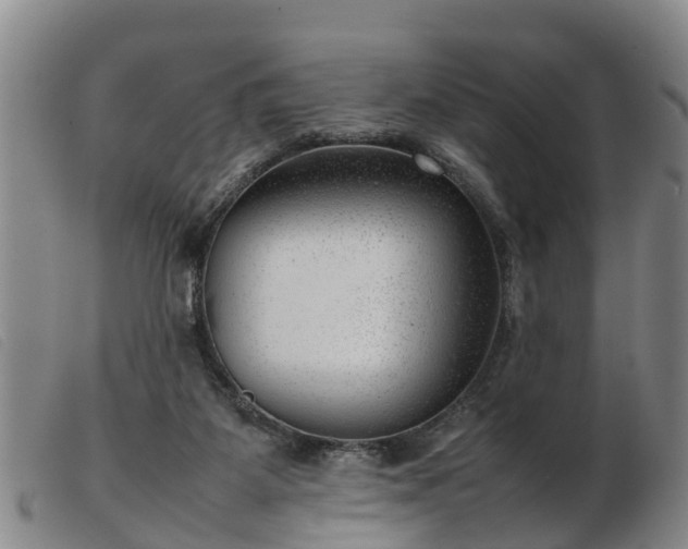 X0000103410115200809191554