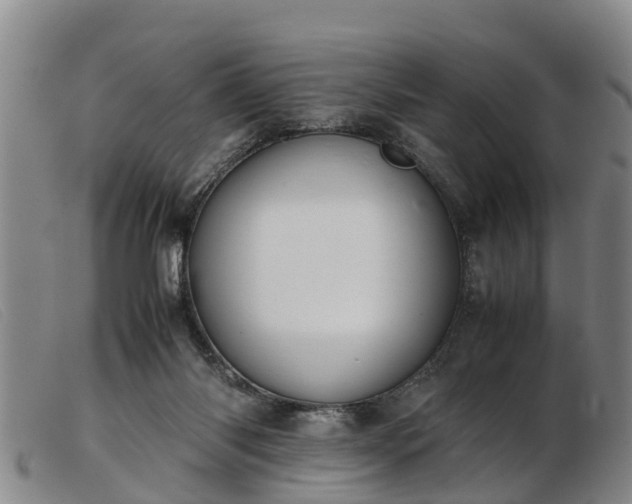 X0000103410118200809191554