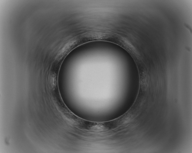 X0000103410119200809191554